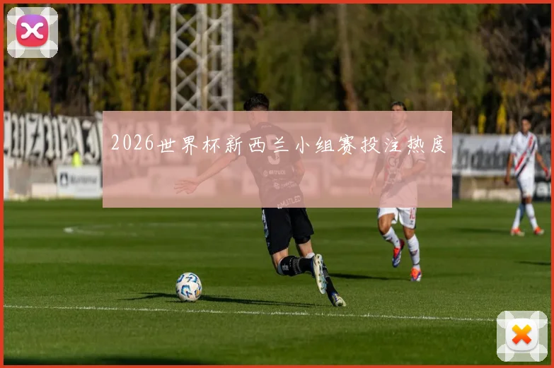 2026世界杯新西兰小组赛投注热度