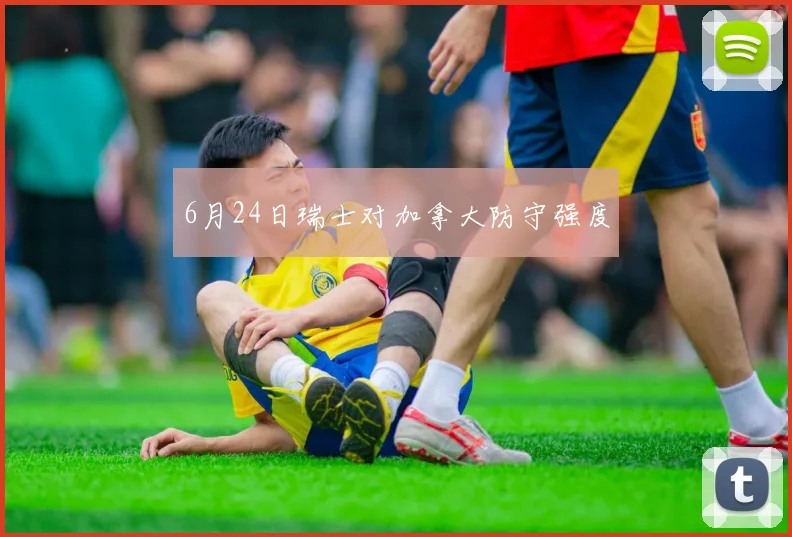 6月24日瑞士对加拿大防守强度