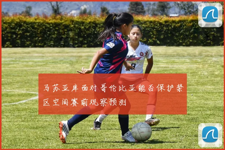 马苏亚库面对哥伦比亚能否保护禁区空间赛前观察预测